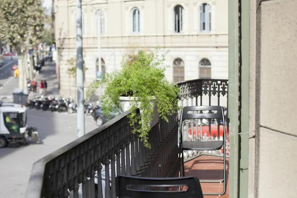 Amra Barcelona Caspe Guest House
