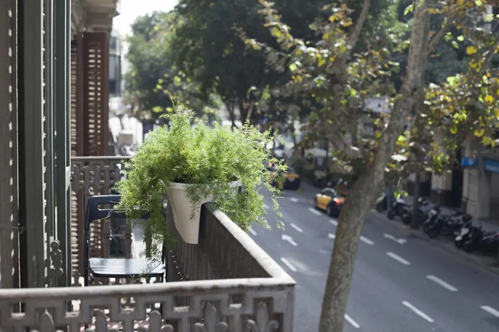 Amra Barcelona Caspe Guest House